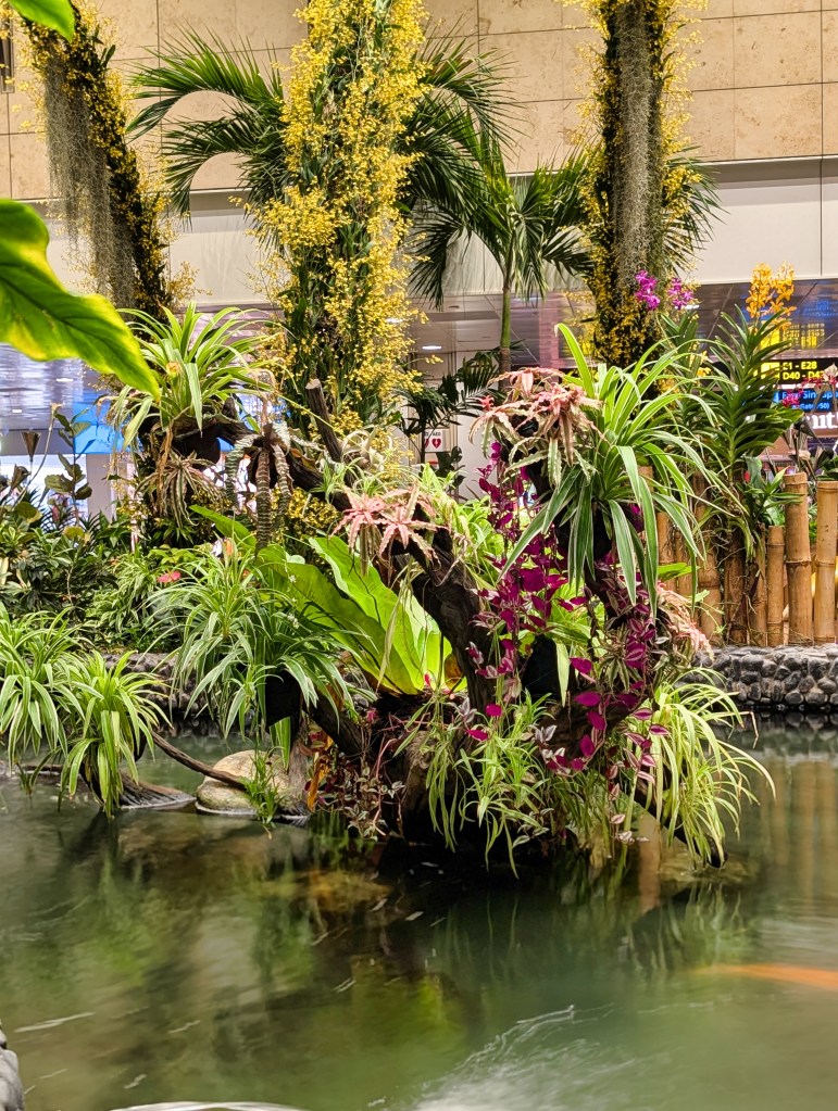View of greeneries and pond at Enchanted Garden in Singapore Changi Airport Terminal 2 Lush greeneries in Enchanted Garden of Singapore Changi Airport Terminal 2